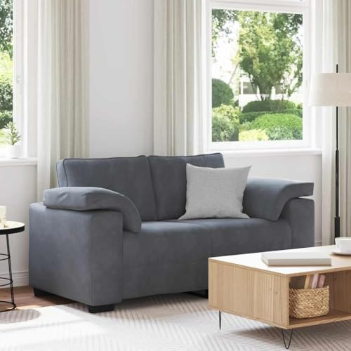 ROMHZKS Zweisitzer-Sofa Samtstoff Relaxsofa mit gepolsterten Sitzkissen und Metallgestell für Wohnzimmer Schlafzimmer modernes Design
