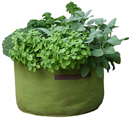 Tierra Garden 50-VIG14 Haxnicks Vigoroot Herb Planter