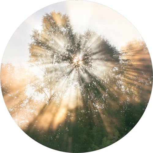 Pro-Art Glasbild Mystic Forest V, rund 20 cm