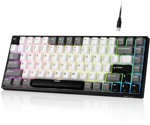 RK ROYAL KLUDGE RK84 verkabelt 75% RGB Hot-Swap MechanischeTastatur, QWERTY | Kompakte TKL-Gaming-Tastatur 84 Tasten Programmierbare Software für Mac/Win, Schalldämpfender Schaumstoff, PBT-Tastenkappe