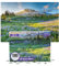 MISITU Mini Puzzle 1000 StüCke FüR Erwachsene - Wilde Blumen - Herausfordernder 1000 StüCk Puzzle (38x26 cm)