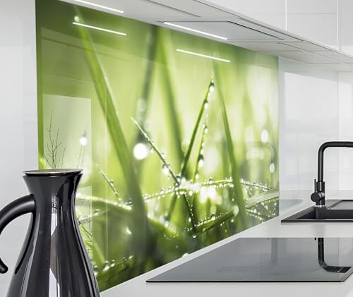 timalo Spritzschutz Wand für Herd, Küche Küchenrückwand Glasoptik | Acryl Glas 2mm | Glasrückwand Acrylglas Wandpaneele Rückwandschutz Platte | 140x50cm Gras mit Regentropfen