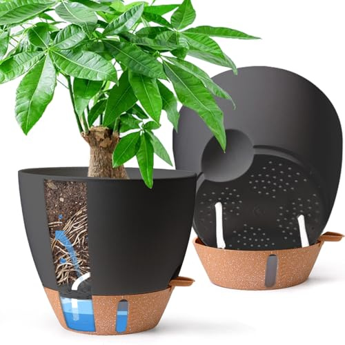 T4U Selbstbewässerungstopf 25 cm 2er Set, Blumentopf für Balkon，Schwarz | Für Monstera, Ficus und Grünpflanzen im Wohnraum; der tiefe Wasserspeicher erleichtert,Blumentopf Gross innen & draussen