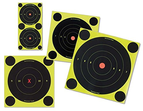 BIRCHWOOD CASEY Shoot N C 17.25 Zielscheibe - 12 Ziele