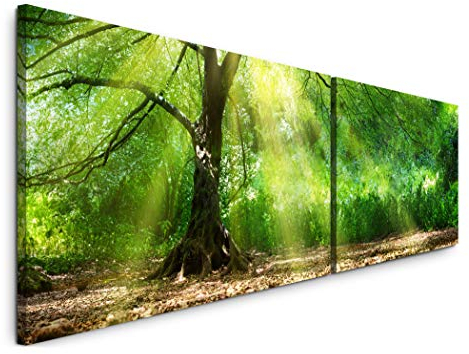 Paul Sinus Art Baum mit Sonnenstrahlen im Winter 180x50cm - 2 Wandbilder je 50x90cm - Kunstdrucke - Wandbild - Leinwandbilder fertig auf Rahmen