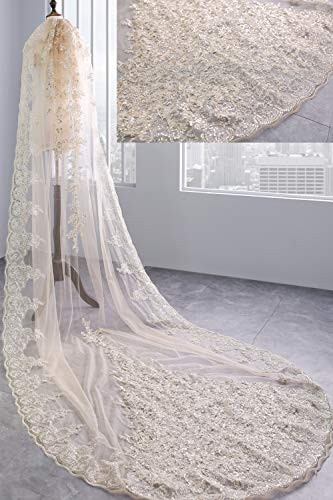Hochzeitsschleier Brautschleier 3M Schleier Braut Hochzeit Spitze Blume Applique Paillette Leuchtenden Rand Champagner Gold Elfenbein Weiche Tüll Kathedrale Haarschmuck,Champagnegold,3*1.5m
