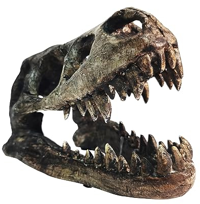 Ptosziav Dinosaurier-T-Rex-Knochen, Kunstharz, Kunsthandwerksstatue für Zuhause, Büro, Regal, Dekoration, lebensechte Tyrannosaurier-Kopf-Skulptur, Figur, Geschenke, Reptilienversteck, Haus,