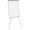 Bi-Office Flipchart Earth-It 70x100cm grau