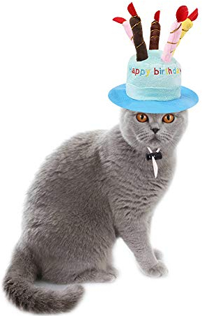 RayMinsin Haustier Geburtstag Kuchen Hut Haustier Kappe Haustier Kappe mit Kerzen Design für Hunde und Katzen Kostüm Zubehör (Blau)