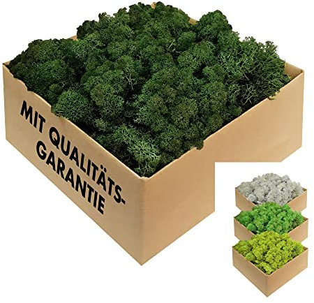 GJS Islandmoos - konserviertes Moos zum Basteln, Deko & DIY für künstliche Bilder, Pflanzen-Wand, Kunst, Modellbau sowie Oster- (Gras, Nest) & Weihnachtsdeko (Krippe, Adventskranz) (dunkelgrün, 1 kg)