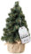Creative Home Albero di Natale Artificiale | 30 cm | Cono Piccolo Albero di Natale Salvaspazio | Alberi di Natale Piccoli per Tavolo, Ufficio | Interno, Esterno | Regalo di Decorazione Fai-da-Te