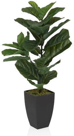 hjh OFFICE Kunstpflanze 80cm LYRATA Künstliche Deko Pflanze mit Topf, exotischer Feigenbaum für Wohnzimmer Schlafzimmer Büro