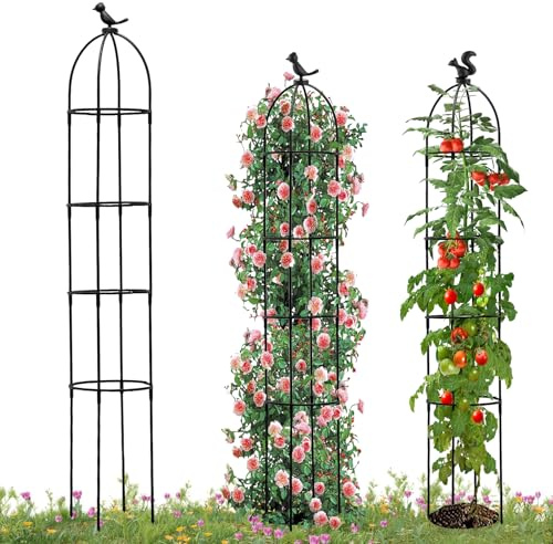 FxlStelrion Obélisque de jardin - 145 cm - Treillis amovible - Support pour plantes grimpantes - Avec 30 clips pour plantes - Pour roses, fleurs, tomates et plantes grimpantes - Noir