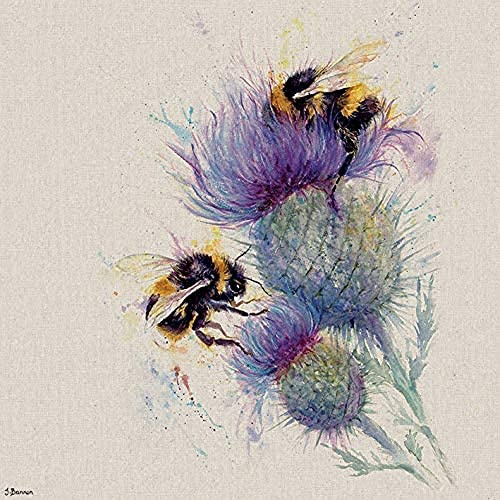 Jane Bannon WDC97249 (Bees on Thistle Canvas Print, Multi-Colour, 60 x 60 cm