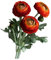 HGTYDV2 3 Stück künstliche Ranunkeln, fühlen Sich echt an, Seide, Pfingstrose, Blumenstiel, Farbverlauf, persische Butterblume, künstliche Blumen für Brautsträuße, Hochzeitsarrangements