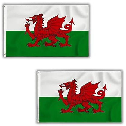 Wales-Drachen-Flagge, 152 x 91 cm, mit Messingösen, Polyester, Cymru Walisische Flagge, Banner für St. David's Day, Dekoration, Fußballspiele, Haus & Garten, 2 Stück