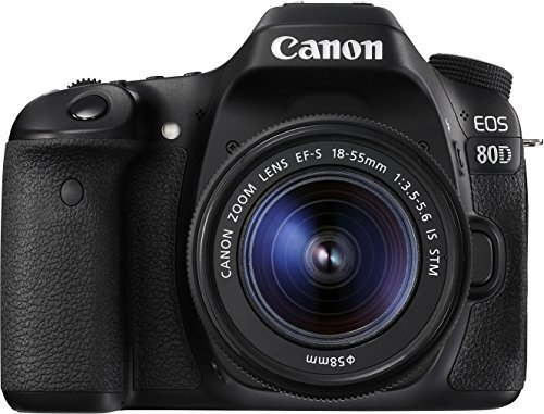 Canon EOS 80D 18-55LS STM Appareil Photo Numérique Noir