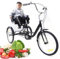 20 Zoll Fahrrad Dreiräder,3 Räder 1 Gang-Fahrrad Dreiräder mit Kindersitzes und Rückenlehne Einkaufskorb Dreirad Fahrrad Cruise Bikes Sitzverstellung Höhe für Erwachsene Dreirad