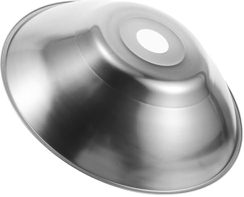 Paralume 4, per Protettivo Riscaldante Acciaio in Inox, 5cm Lampada | Montaggio Foro 4, 5cm, Compatibile Portalampade e Bulbi Riscaldanti, Finitura Argento per Habitat e Recinto
