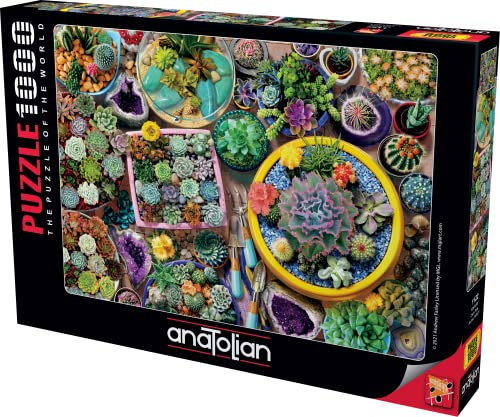 Anatolian Puzzle 1000 pièces : Pots de Cactus
