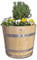 Temesso Blumentopf, Blumenkübel aus Kastanien-Holz - Fass, Holzfass Fass als Pflanzkübel - Bottich, Holzkübel (D30 H30 cm)