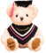 Graduation Teddy Bears,2025 High School College Graduation Gifts Doll,Personalised Graduation Gifts For Her Him,Bears For Girls Boys Presents (Pink)