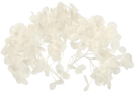 PATIKIL 10g Fiore Di Ortensia Essiccato Fiori Pressati Naturali Bianco | Per DIY Resin Artigianato Carta Da Regalo Floreale Decorazione Candele, Petali Di Ortensie Reali