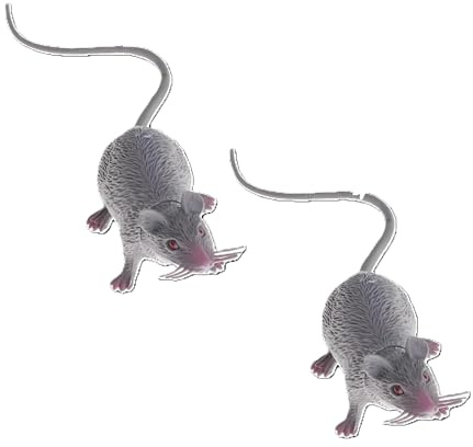 2pcs Plastic Halloween Rat, Realistic Fake Mouse for Party Decorations, Creepy Prank Props, Spooky April Fool's Day Trick, Lifelike Mice Figures for Party and Haunted House Decor, Decorations (Grey)