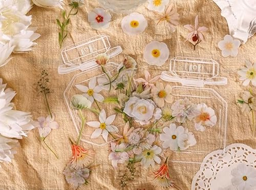 62 transparente getrocknete Blumen-Lesezeichen-Set, DIY handgefertigte getrocknete Blumen-Lesezeichen für Frauen und Kinder (60 Stück PET-Trockenblumen + 2 transparente Lesezeichen)