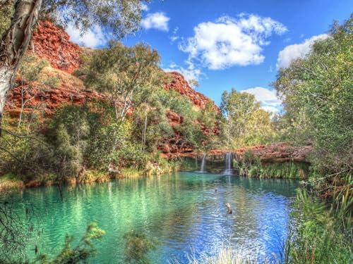 1500 Pieces Jigsaw Puzzles for Adults Difficult Hard Jigsaw Puzzles for Women Men - Parks united states rivers 87x57cm