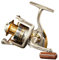 Diwa Spinning Fishing Reels for Saltwater Freshwater 1000 2000 3000 4000 5000 6000 Series Left/Right Interchangeable Trout Spinning Reel Carp Fishing Spool 10 Ball Bearings Light and Smooth (3000)
