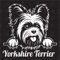 Yorkshire Terrier Version 2 - Sticker, Hundeaufkleber, Autoaufkleber, Hund, Auto, Hunderassen, Aufkleber, Mischling, Mix, Tiere, Haustier (AUCH MIT Wunschname MÖGLICH)