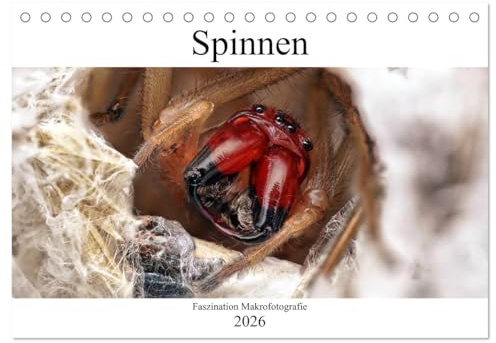 Faszination Makrofotografie: Spinnen (Tischkalender 2026 DIN A5 quer), CALVENDO Monatskalender: Wunderschöne Makroaufnahmen von einheimischen Spinnenarten! (CALVENDO Tiere)