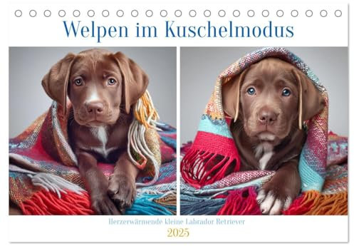 Welpen im Kuschelmodus - Herzerwärmende kleine Labrador Retriever (Tischkalender 2025 DIN A5 quer), CALVENDO Monatskalender: Welpen voller Wärme und Geborgenheit (CALVENDO Tiere)
