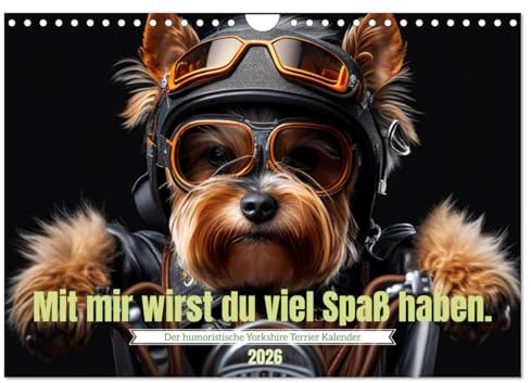 Der humoristische Yorkshire Terrier Kalender (Wandkalender 2026 DIN A4 quer), CALVENDO Monatskalender: Das ideale Geschenk für Yorkshire Terrier ... glücklich zu machen. (CALVENDO Tiere)