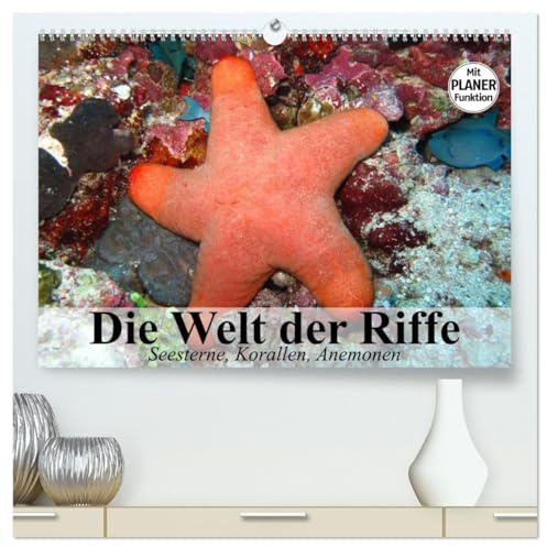 Die Welt der Riffe. Seesterne, Korallen, Anemonen (hochwertiger Premium Wandkalender 2026 DIN A2 quer), Kunstdruck in Hochglanz: Die erstaunlichen Gärten und Blütenformen der Meere (CALVENDO Tiere)