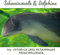Schweinswale & Delphine: Ein Fotobuch über bezaubernde Meeresbewohner. Der Schweinswal wurde zum Tier des Jahres 2022 gewählt.
