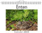 Enten - (Wandkalender 2025, Kalender DIN A4 quer, Monatskalender im Querformat mit Kalendarium, das perfekte Geschenk)