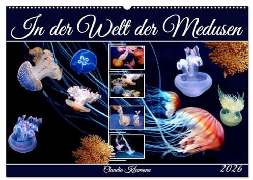 In der Welt der Medusen (Wandkalender 2026 DIN A2 quer), CALVENDO Monatskalender: Bizarre, grazile Wesen in allen Meeren der Welt (CALVENDO Tiere)