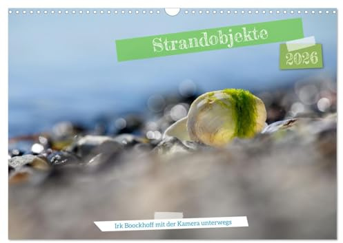 Strandobjekte (Wandkalender 2026 DIN A3 quer), CALVENDO Monatskalender: Strandobjekte mit der Kamera eingefangen (CALVENDO Natur)