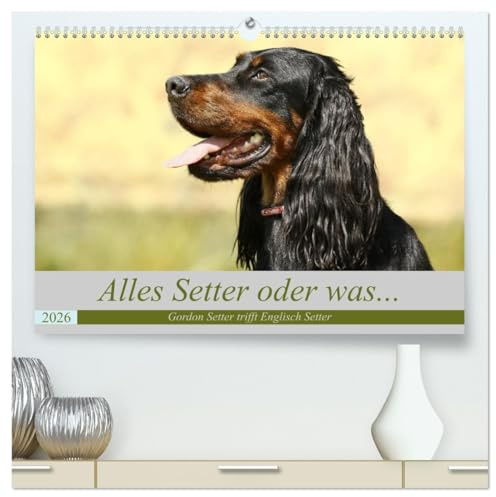 Alles Setter oder was (hochwertiger Premium Wandkalender 2026 DIN A2 quer), Kunstdruck in Hochglanz: Der Setter als Wegbegleiter, Familienhund und bester Kumpel. (CALVENDO Tiere)