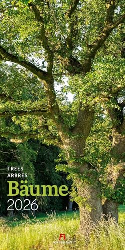 Bäume Kalender 2026 | Stilsicherer Natur-Kalender im schlanken Hochformat (33x66 cm) | Laubbäume und Nadelbäume, Wälder und Alleen