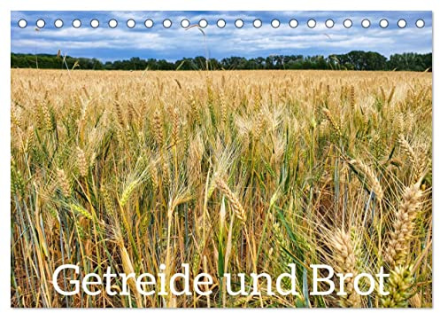 Getreide und Brot (Tischkalender 2026 DIN A5 quer), CALVENDO Monatskalender: Getreide auf dem Feld, Ernte und fertiges Brot. (CALVENDO Natur)