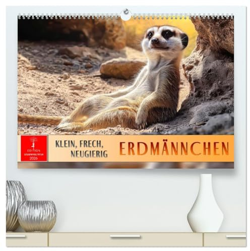 Erdmännchen - klein, frech, neugierig (hochwertiger Premium Wandkalender 2026 DIN A2 quer), Kunstdruck in Hochglanz: Erleben Sie Wüstenwächter mit ihrem putzigem Charme. (CALVENDO Tiere)