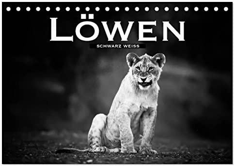 Löwen schwarz weiß (Tischkalender 2026 DIN A5 quer), CALVENDO Monatskalender: Faszinierende Bilder dieser eindrucksvollen Raubtiere in schwarz weiß (CALVENDO Tiere)