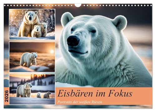 Eisbären im Fokus (Wandkalender 2026 DIN A3 quer), CALVENDO Monatskalender: Portraits der weißen Riesen (CALVENDO Tiere)