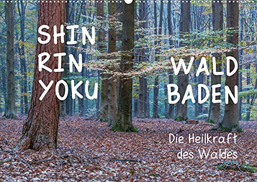 Shinrin yoku - Waldbaden 2022 (Wandkalender 2022 DIN A2 quer): Zwölf einladende Fotografien inspirieren Sie, in die heilsame Waldatmosphäre ... 14 Seiten ) (CALVENDO Gesundheit)