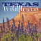 2024 Texas Wildflowers Wall Calendar