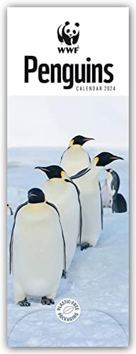WWF Penguins – Pinguine 2024 – Slimline-Kalender: Original Carousel Calendar [Mehrsprachig] [Kalender]