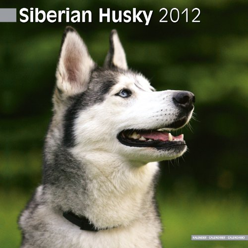 Siberian Husky 2012 Calendar #10073-12